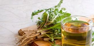4 prirodna saveznika: Biljni čajevi mogu da ubrzavaju proces regeneracije jetre, a uspore otkazivanje organa