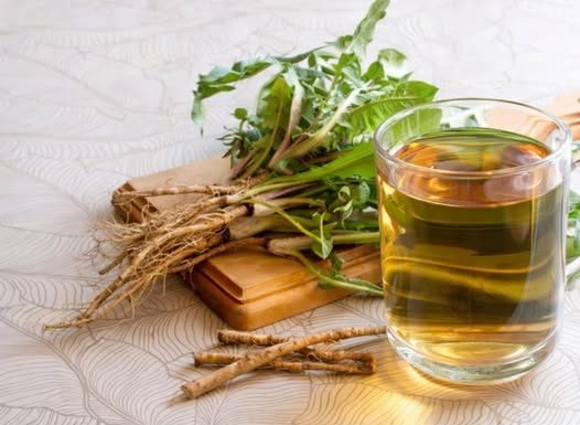 4 prirodna saveznika: Biljni čajevi mogu da ubrzavaju proces regeneracije jetre, a uspore otkazivanje organa