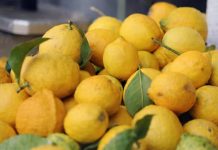 Jedite limun na ovaj način i zaštitite se od depresije i suvišnih kilograma