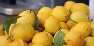 Jedite limun na ovaj način i zaštitite se od depresije i suvišnih kilograma