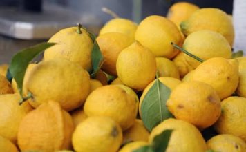 Jedite limun na ovaj način i zaštitite se od depresije i suvišnih kilograma