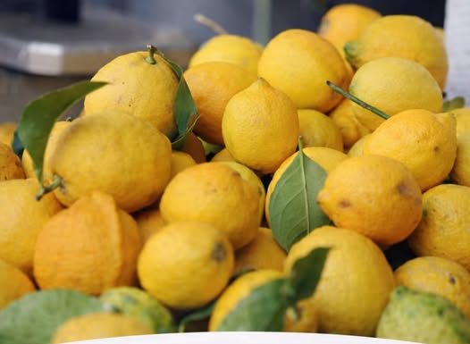 Jedite limun na ovaj način i zaštitite se od depresije i suvišnih kilograma