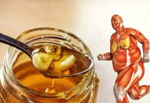 Ukoliko od danas počnete jesti med svaki dan, za mjesec dana vaše tijelo doživjet će ogromne promjene!