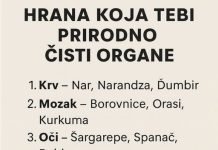 HRANA KOJA TEBI PRIRODNO ČISTI ORGANE