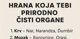 HRANA KOJA TEBI PRIRODNO ČISTI ORGANE
