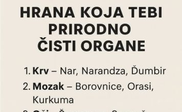HRANA KOJA TEBI PRIRODNO ČISTI ORGANE