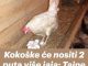 Kokoške će nositi 2 puta više jaja: Tajne o kojima iskusni farmeri šute!