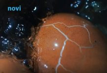 Dok kuhate jaja, dodajte ovaj sastojak: Neće pucati i oguliće se iz jednog poteza!