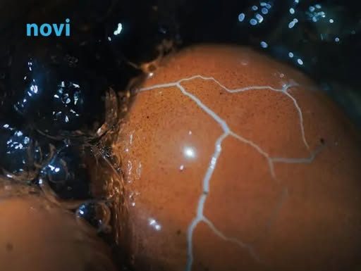 Dok kuhate jaja, dodajte ovaj sastojak: Neće pucati i oguliće se iz jednog poteza!