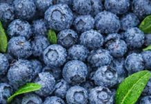 ČUVA I SRCE I MOZAK: Ovo je najzdravije voće koje možete pojesti, tvrde nutricionisti