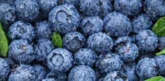 ČUVA I SRCE I MOZAK: Ovo je najzdravije voće koje možete pojesti, tvrde nutricionisti