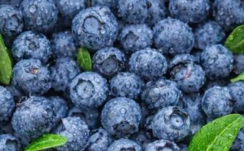 ČUVA I SRCE I MOZAK: Ovo je najzdravije voće koje možete pojesti, tvrde nutricionisti