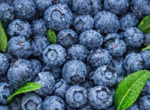 ČUVA I SRCE I MOZAK: Ovo je najzdravije voće koje možete pojesti, tvrde nutricionisti