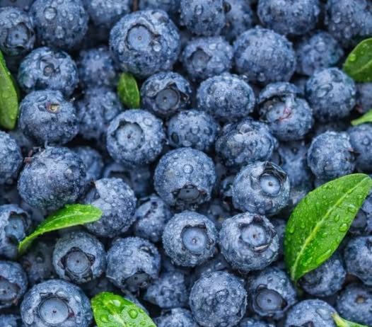 ČUVA I SRCE I MOZAK: Ovo je najzdravije voće koje možete pojesti, tvrde nutricionisti