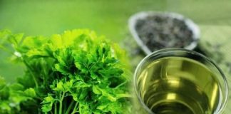 Na ovaj način se pije čaj od peršuna ako želite da smršate: 5 dana je dovoljno