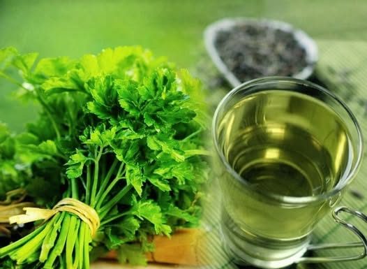Na ovaj način se pije čaj od peršuna ako želite da smršate: 5 dana je dovoljno