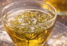 Liječi depresiju, stres, umiruje napete nerve: Travari se kunu u ovaj čudotvorni napitak