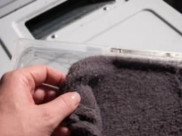 Prije nego što ga bacite, saznajte kako iskoristiti vlakna iz sušilice u vrtu