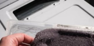 Prije nego što ga bacite, saznajte kako iskoristiti vlakna iz sušilice u vrtu