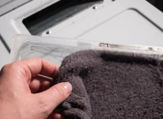 Prije nego što ga bacite, saznajte kako iskoristiti vlakna iz sušilice u vrtu