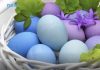 Zaboravite vještačke boje: Trik s kupusom daje najljepša uskršnja jaja