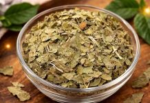 ČAJ OD LISTOVA OVE BILJKE SMANJUJE NIVO ŠEĆERA U KRVI: Moćni lijek iz prirode je SPAS ZA ORGANIZAM