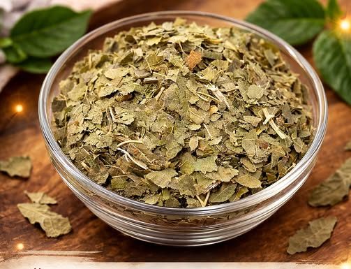 ČAJ OD LISTOVA OVE BILJKE SMANJUJE NIVO ŠEĆERA U KRVI: Moćni lijek iz prirode je SPAS ZA ORGANIZAM