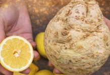 CELER I LIMUN: NAJJEDONOSTAVNIJI napitak koji pročišćava organizam od masnoće