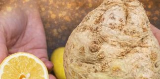 CELER I LIMUN: NAJJEDONOSTAVNIJI napitak koji pročišćava organizam od masnoće