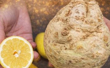 CELER I LIMUN: NAJJEDONOSTAVNIJI napitak koji pročišćava organizam od masnoće