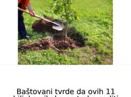 Baštovani tvrde da ovih 11 biljaka nikako ne treba saditi u dvorištu: Jednu skoro svaka kuća ima