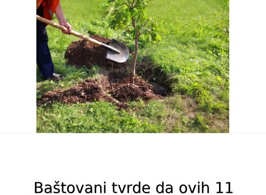 Baštovani tvrde da ovih 11 biljaka nikako ne treba saditi u dvorištu: Jednu skoro svaka kuća ima