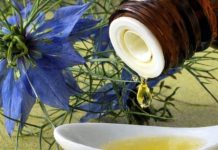 BILJKA KOJA LIJEČI “SVE OSIM SMRTI”: Njena ljekovitost jednostavno nema granice