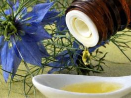 BILJKA KOJA LIJEČI “SVE OSIM SMRTI”: Njena ljekovitost jednostavno nema granice