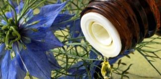 BILJKA KOJA LIJEČI “SVE OSIM SMRTI”: Njena ljekovitost jednostavno nema granice