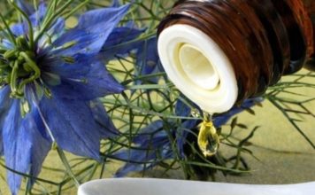 BILJKA KOJA LIJEČI “SVE OSIM SMRTI”: Njena ljekovitost jednostavno nema granice