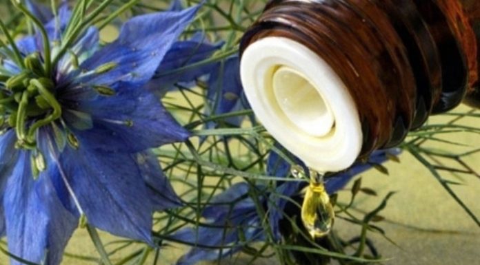 BILJKA KOJA LIJEČI “SVE OSIM SMRTI”: Njena ljekovitost jednostavno nema granice