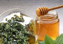 2 KAŠIKE DNEVNO ČINE ČUDO ZA ORGANIZAM: Med i kopriva liječe anemiju, migrenu, žuč, jetru