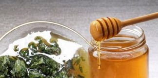 2 KAŠIKE DNEVNO ČINE ČUDO ZA ORGANIZAM: Med i kopriva liječe anemiju, migrenu, žuč, jetru