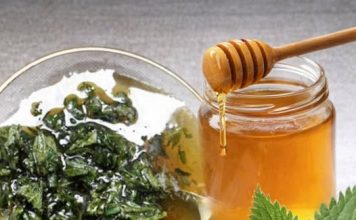 2 KAŠIKE DNEVNO ČINE ČUDO ZA ORGANIZAM: Med i kopriva liječe anemiju, migrenu, žuč, jetru