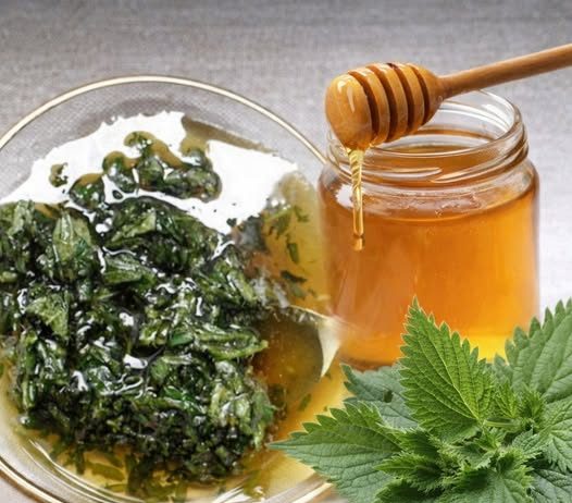 2 KAŠIKE DNEVNO ČINE ČUDO ZA ORGANIZAM: Med i kopriva liječe anemiju, migrenu, žuč, jetru