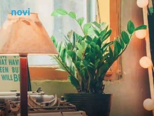 Zamija se ne stavlja bilo gdje: Vjeruje se da samo jedno mjesto u domu privlači sreću i bogatstvo