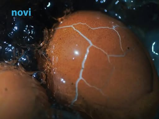 Kako da jaja ne popucaju u toku kuhanja: Trikovi iskusnih domaćica garantuju uspjeh