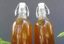 Domaće ulje od mlade koprive: Evo kako ga spremiti i za šta je sve izvrsno kao lijek!