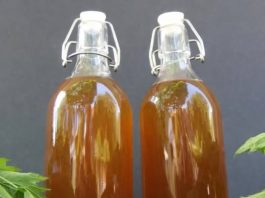 Domaće ulje od mlade koprive: Evo kako ga spremiti i za šta je sve izvrsno kao lijek!