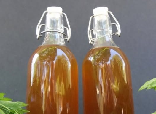 Domaće ulje od mlade koprive: Evo kako ga spremiti i za šta je sve izvrsno kao lijek!