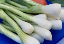 EVO KO NE SMIJE DA JEDE MLADI LUK: Ljekari upozoravaju, ako imate problem sa OVIME – odmah ga izbacite iz ishrane