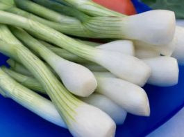 EVO KO NE SMIJE DA JEDE MLADI LUK: Ljekari upozoravaju, ako imate problem sa OVIME – odmah ga izbacite iz ishrane