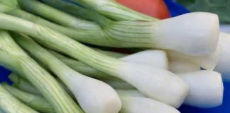 EVO KO NE SMIJE DA JEDE MLADI LUK: Ljekari upozoravaju, ako imate problem sa OVIME – odmah ga izbacite iz ishrane