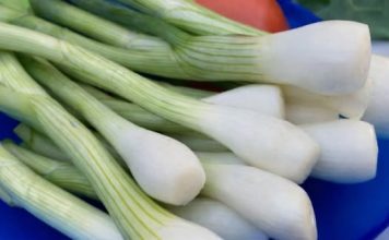 EVO KO NE SMIJE DA JEDE MLADI LUK: Ljekari upozoravaju, ako imate problem sa OVIME – odmah ga izbacite iz ishrane